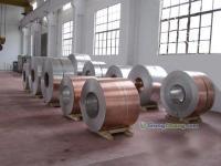 銅鋁復(fù)合板在銅門行業(yè)的應(yīng)用及推薦